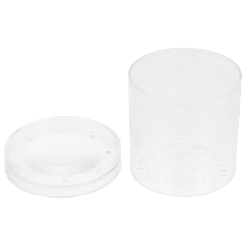 Science Toys - Boîte d'observation d'insectes à grossissement 3X,