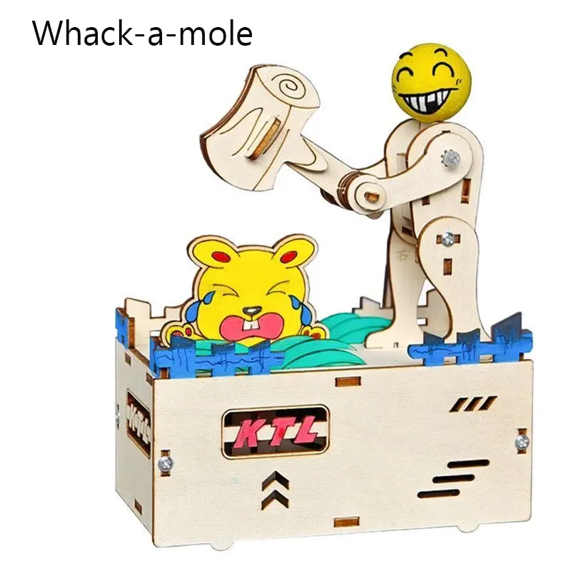 Science Diy Model - Kit de Projet STEM DIY :
