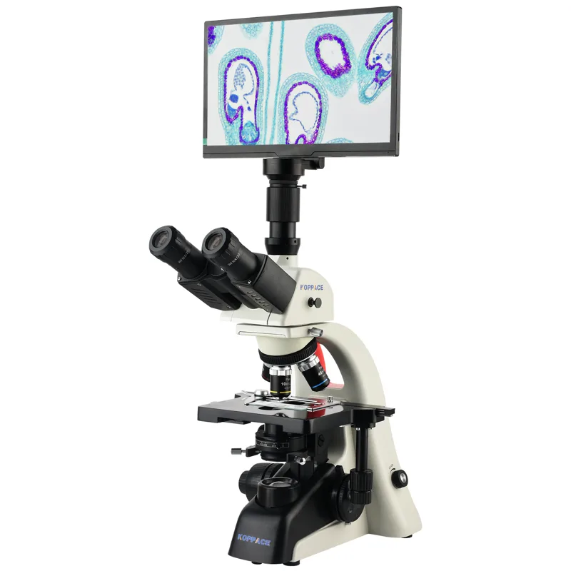 Microscope Compound 40X - Microscope composé électronique de laboratoire KOPPACE