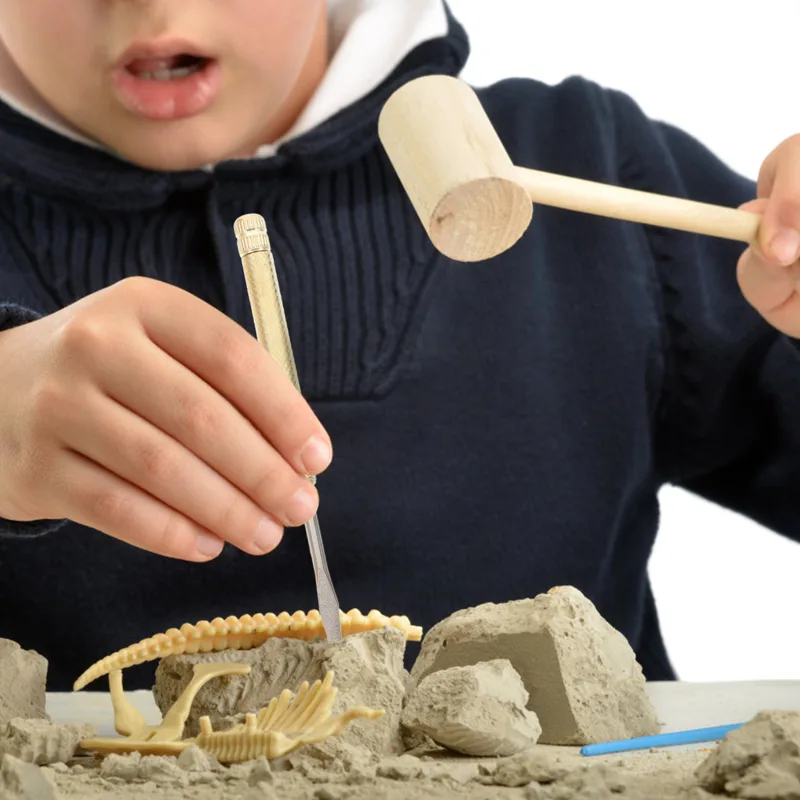 Science Toys - 1 ensemble d'outils de fouilles pour