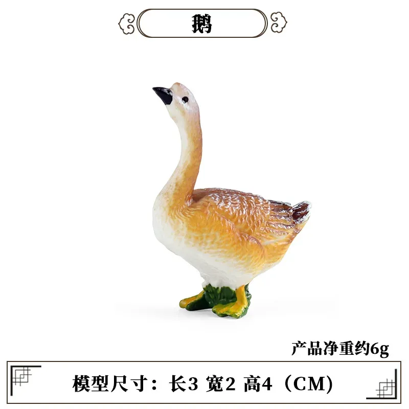 Science Toys - Outil d'enseignement éducatif, Mini modèle d'animal