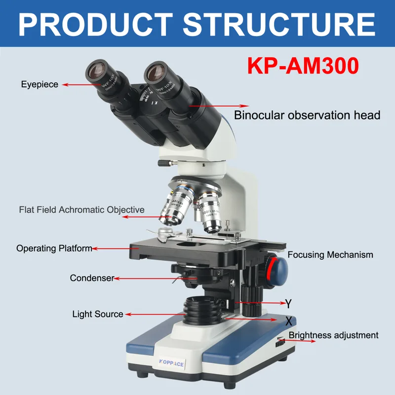 Microscope composé binoculaire - Microscope Compound 40X avis et prix