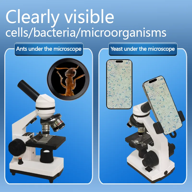 Microscope composé optique bio - Microscope Compound 40X avis et prix