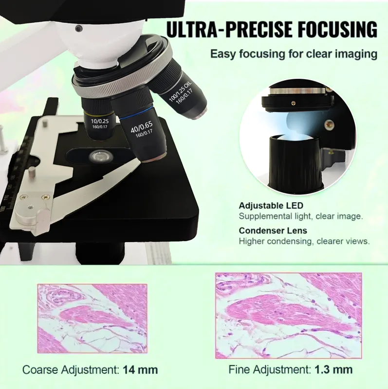 Microscope binoculaire composé - Microscope Compound 40X avis et prix