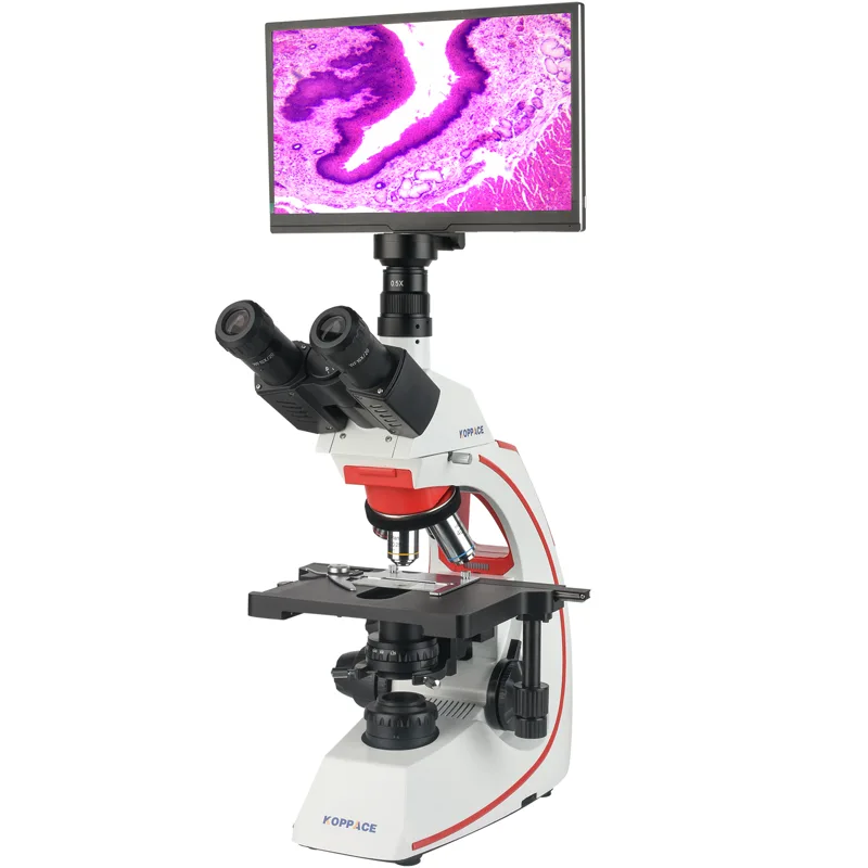 Microscope électronique compos - Microscope Compound 40X avis et prix
