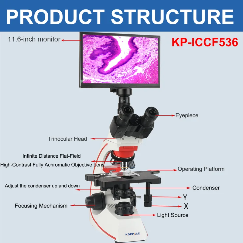 Microscope électronique compos - Microscope Compound 40X avis et prix