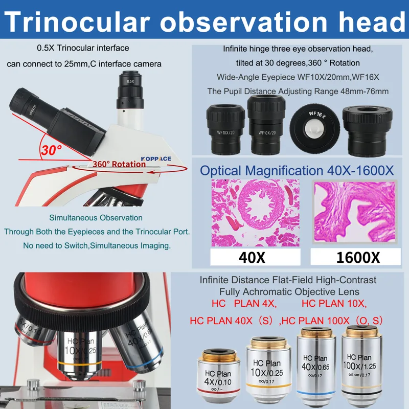 Microscope électronique compos - Microscope Compound 40X avis et prix