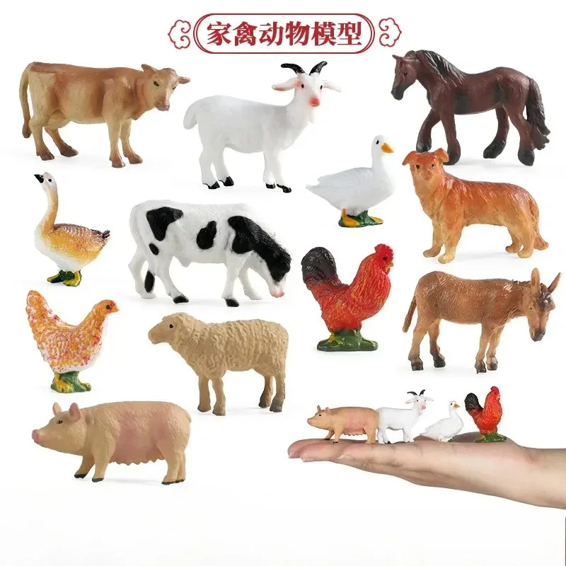 Outil d'enseignement éducatif, - Science Toys avis et prix