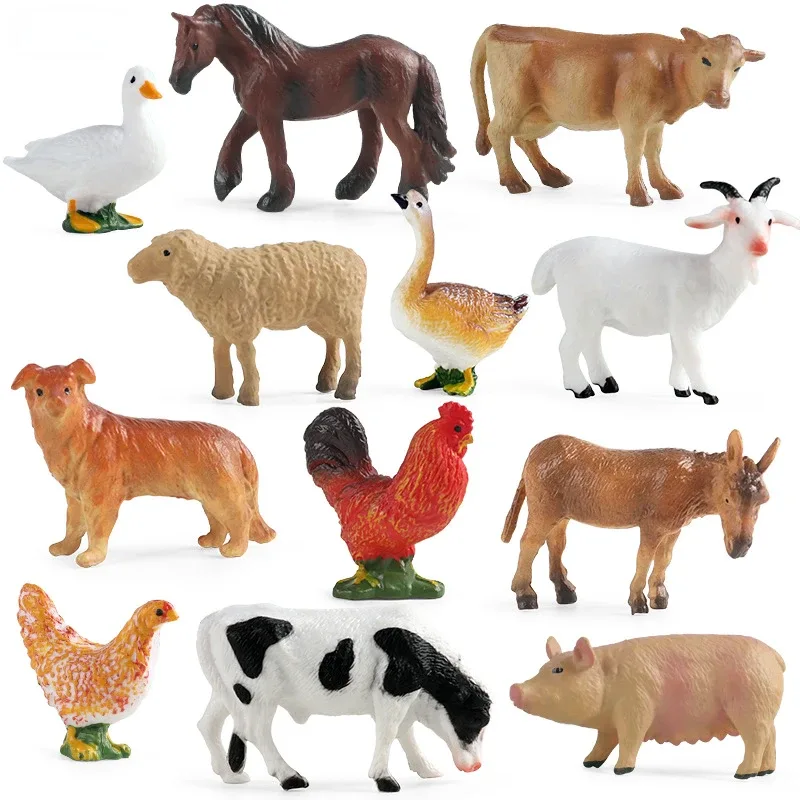 Outil d'enseignement éducatif, - Science Toys avis et prix